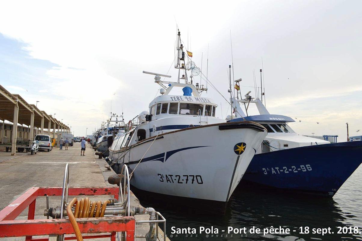 11 SANTA POLA PORT DE PECHE (75).JPG